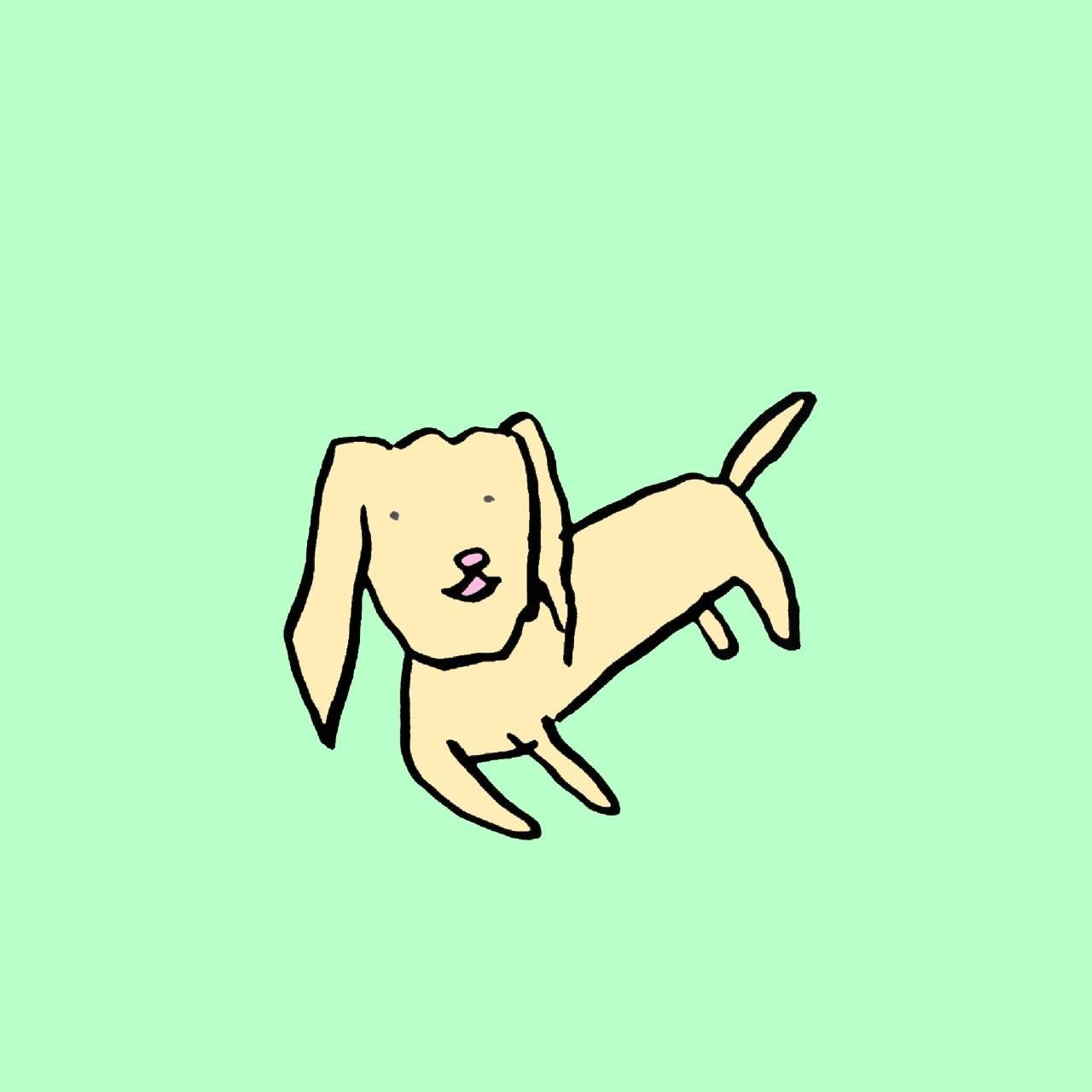 ���������y�b�g�̋C����