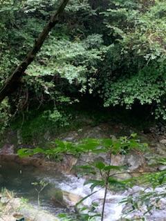 ��ϋv�X�̃u���O�ł�(���l��;)