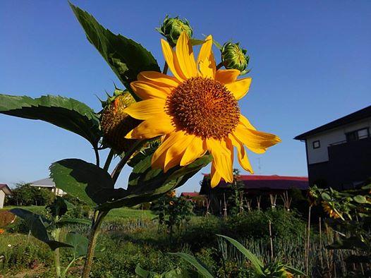 �����͂��x��