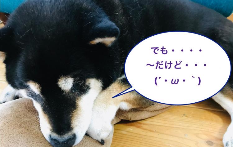 �K�^�ɂȂ邽�߂Ɂw�`�����X�𓦂����t�x