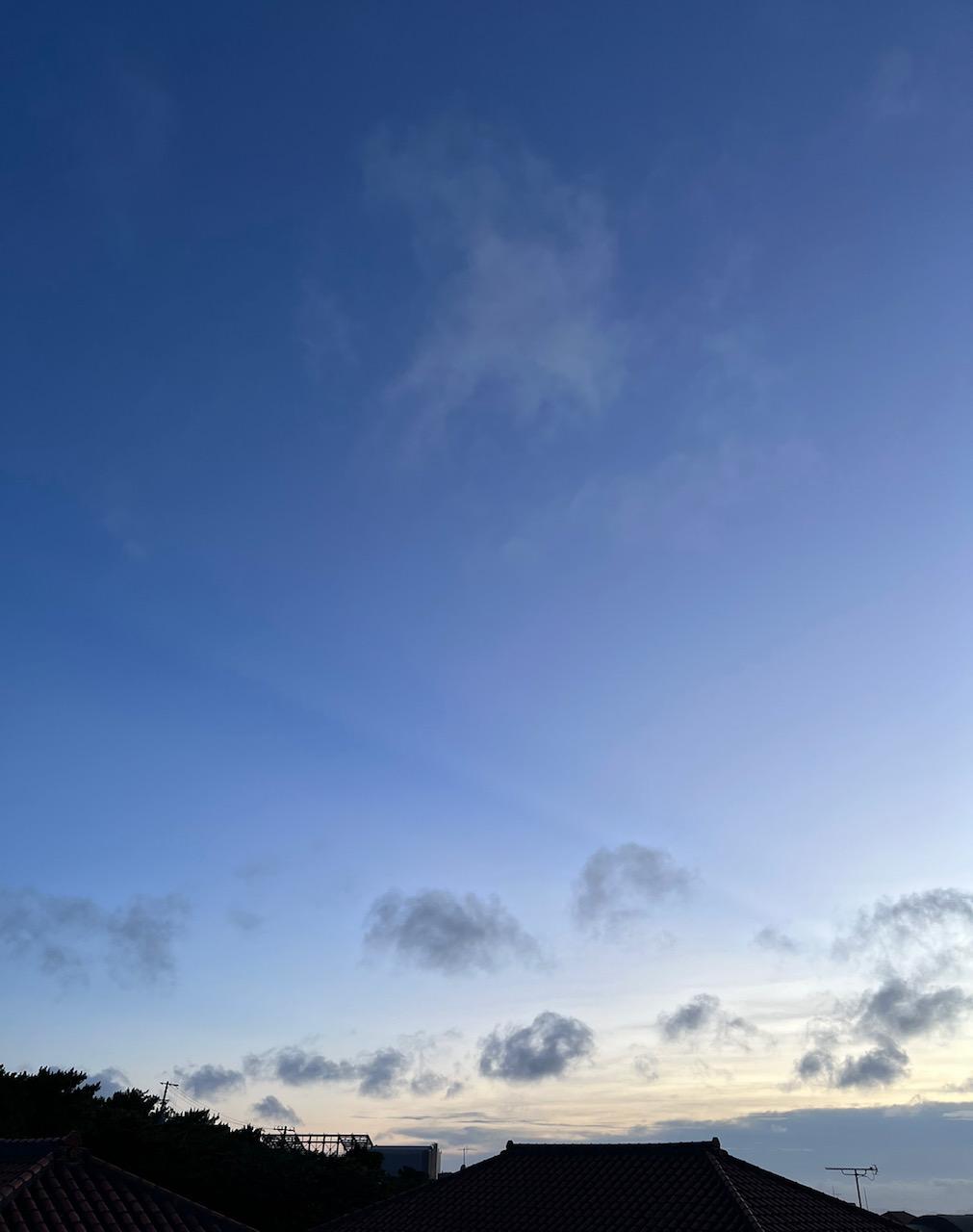 �~�J�����`�Ď�