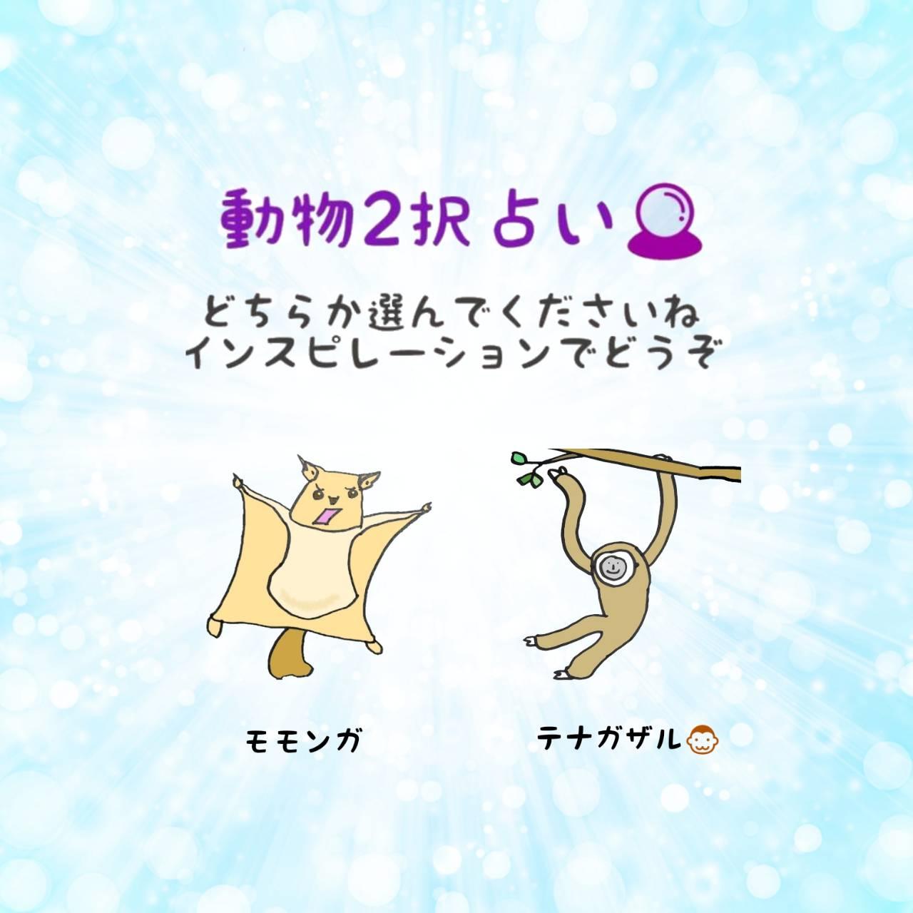 動物2択占い！アドバイスをどうぞ☆