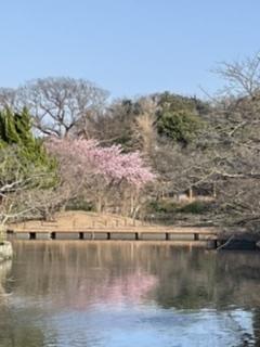 �ЂƋx�݂��܂���R4.3.21����