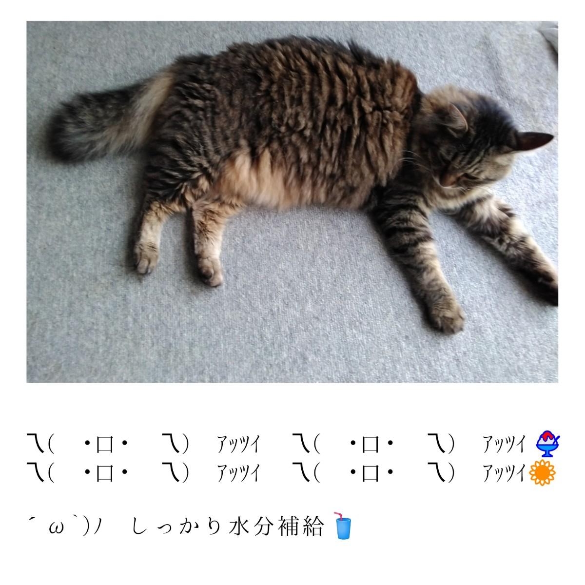 ���������Ď��B�J�^�A�N�V�����R�I