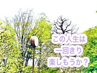 ��肽�����Ƃ��HR4.5.6����