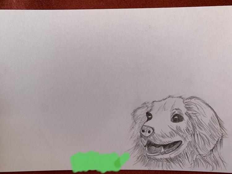 ����ɂ���