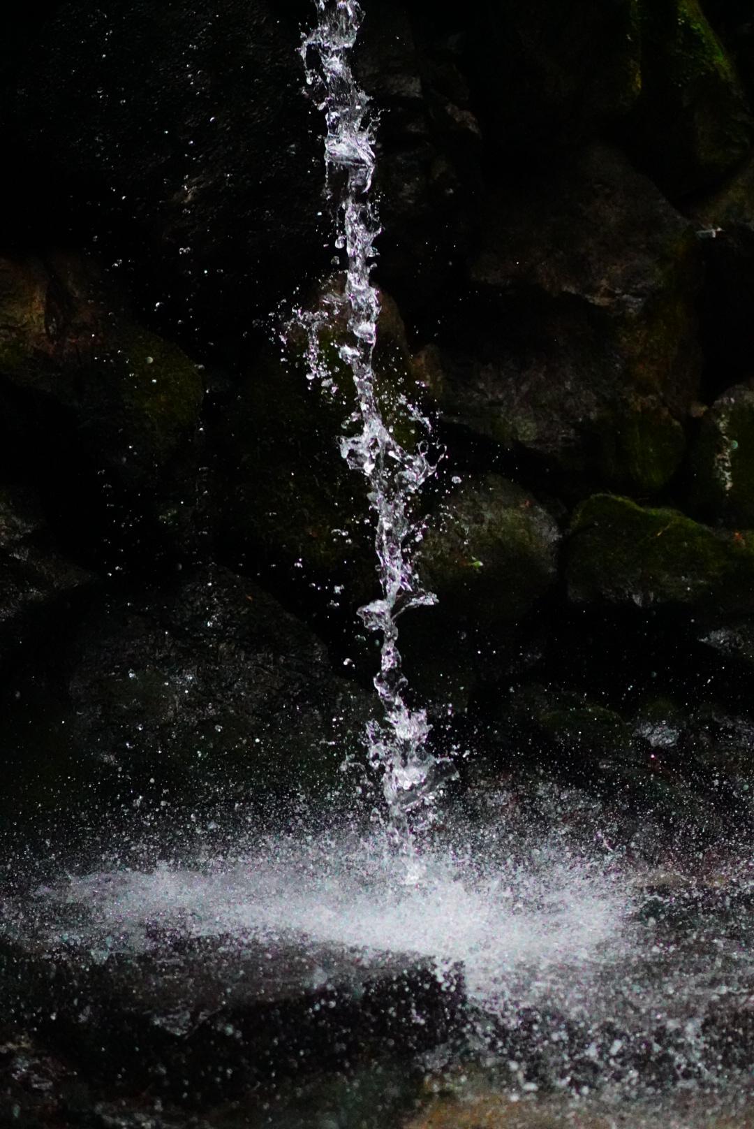 �ō��ɗǂ���