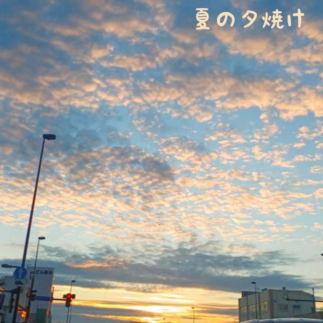 �r�_�Ƃ��낱�_�̃X�s���`���A���T�C���I