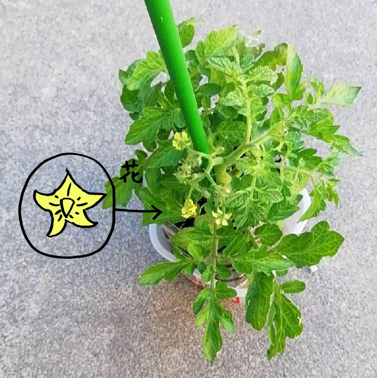 �y�N��z�~�j�g�}�g�A�J��