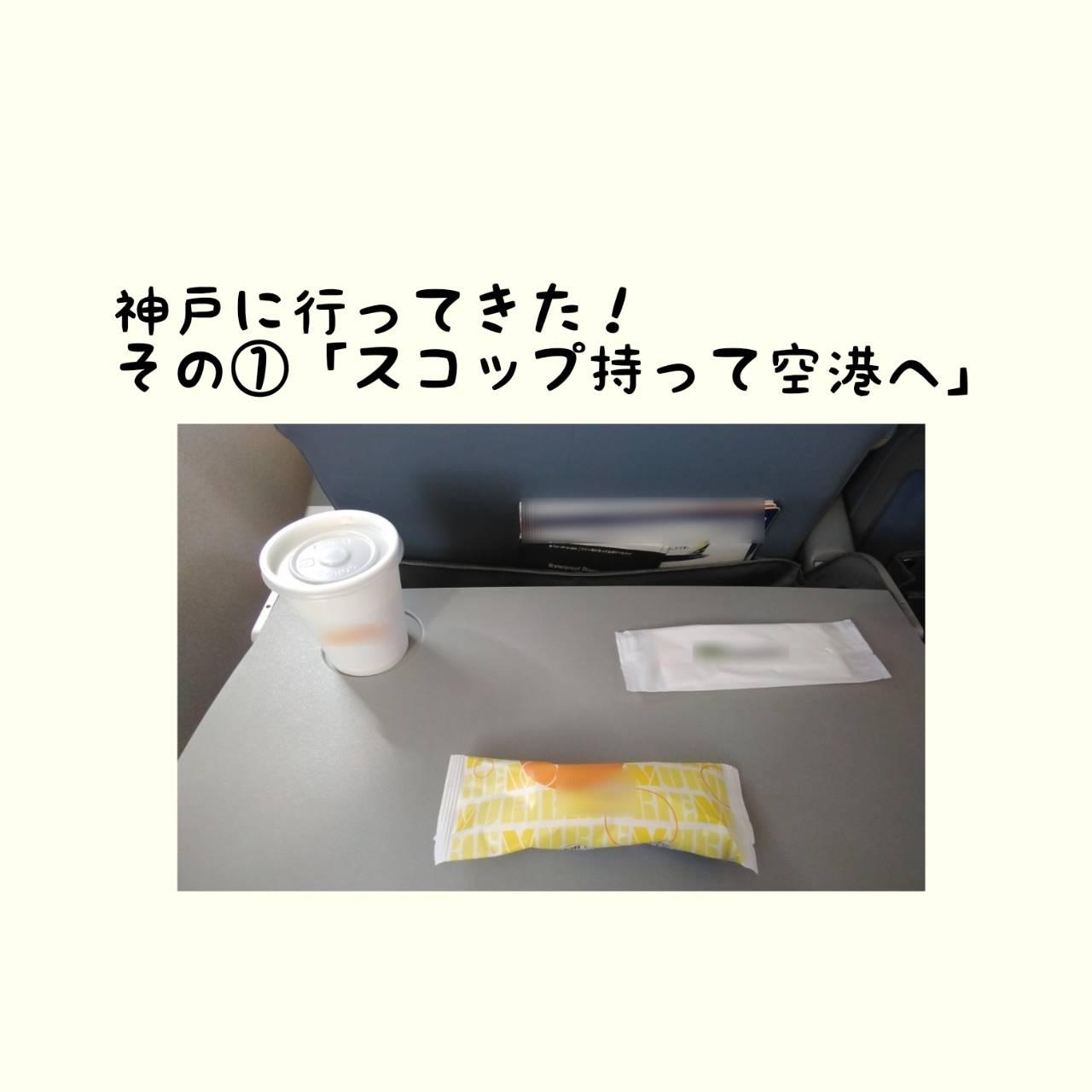�_�˂��o�����b�@�u�X�R�b�v�����ċ�`�ցv