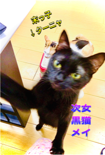 ��蒼���^�C�~���OR4.2.6.����