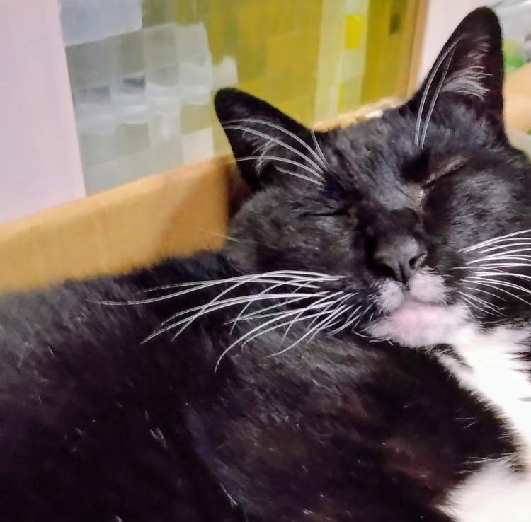 �S�̒��S�ɂ�����̂́���