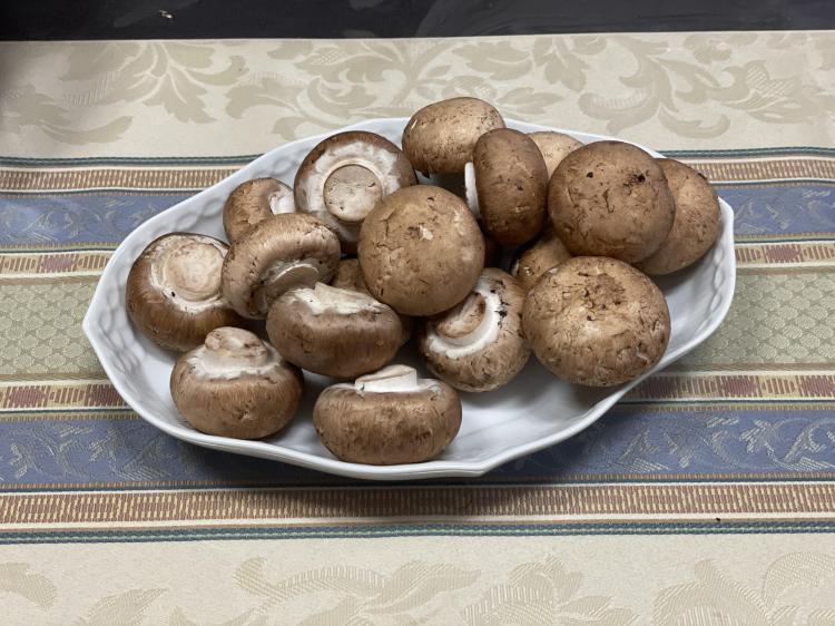 �����������������̂�