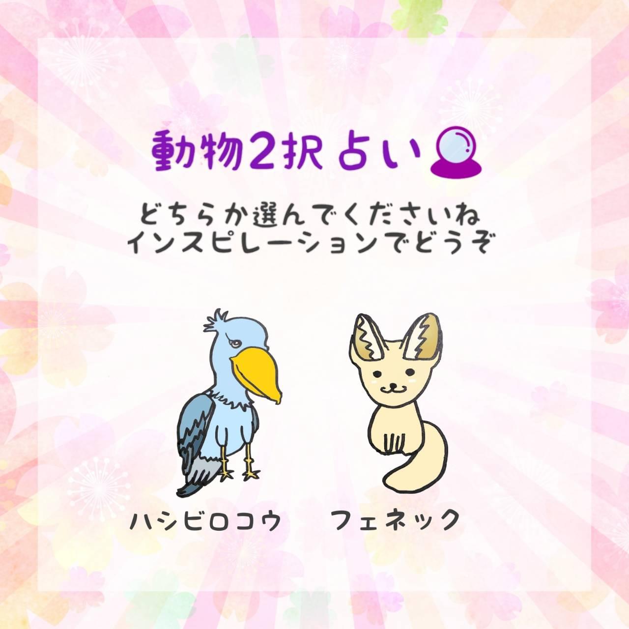 ����2��肢�I�A�h�o�C�X���ǂ�����