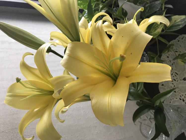 ���̂��Ƃ�ނ͂ǂ��v���Ă܂����H