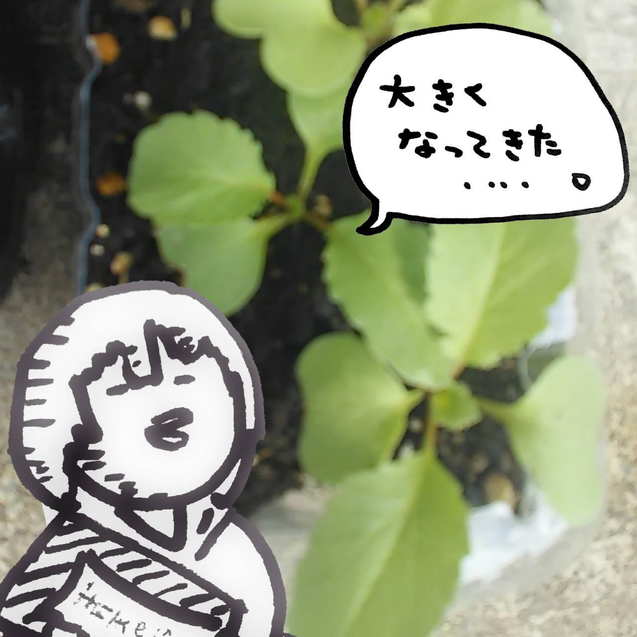 ��\���卪�ʐM���{�t�ɂ������