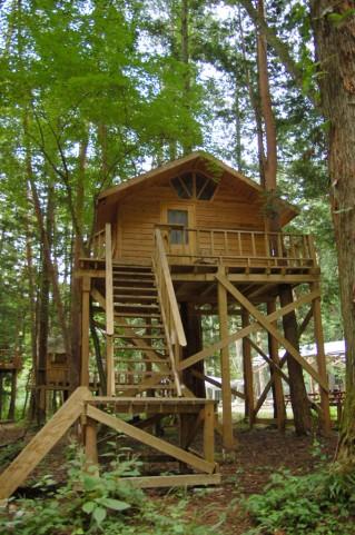 �q�������ɂ���