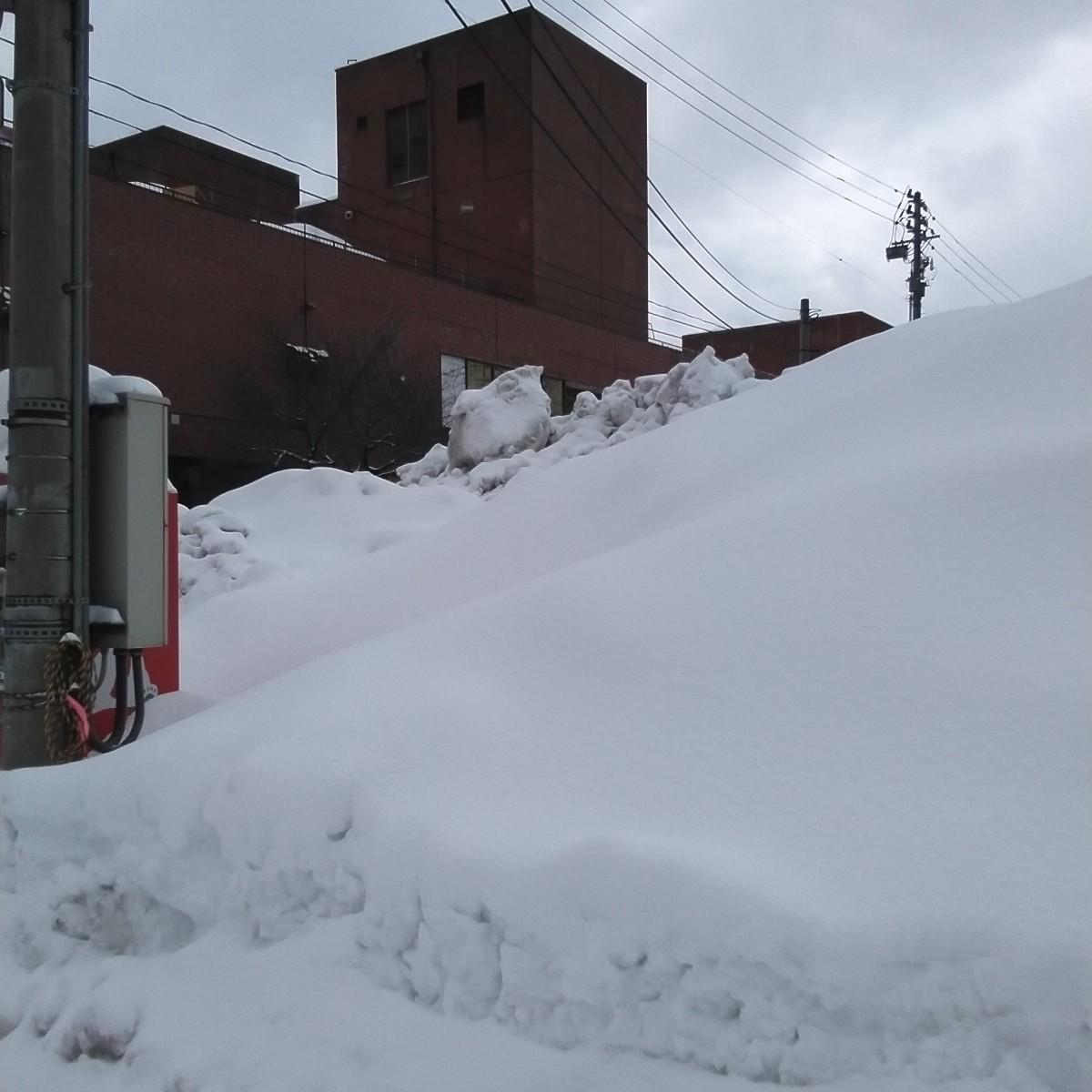 �s�X�n�Ȃ̂ɐ�R���ł���