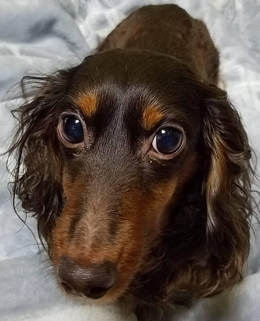 �V�N�x&�V�w��