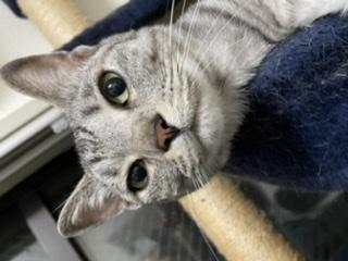 ���ɂƂ��Ă͓���ł�R4.4.21����