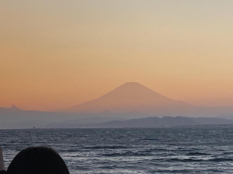 �y���o�����z�]�m���ɍs���Ă��܂�����