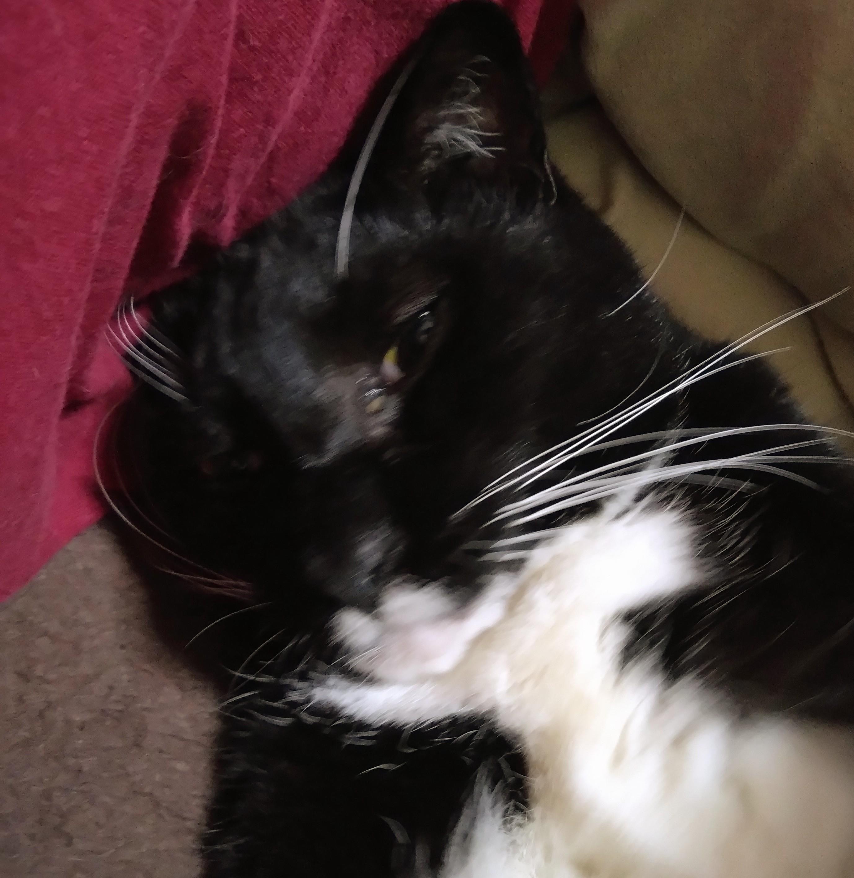 �Ђ܂��͑��z�Ɍ���