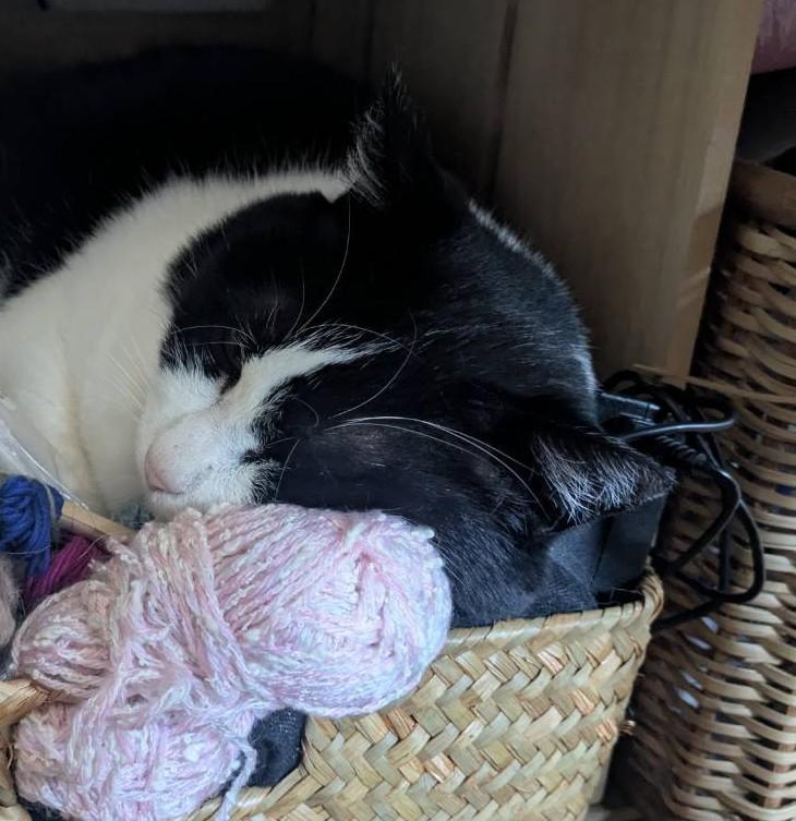 �ɂ�񂱂͒m���Ă�g���̗���