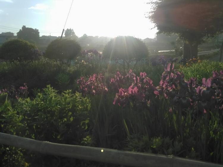 �����Ɨǂ��ł��낤����������āB