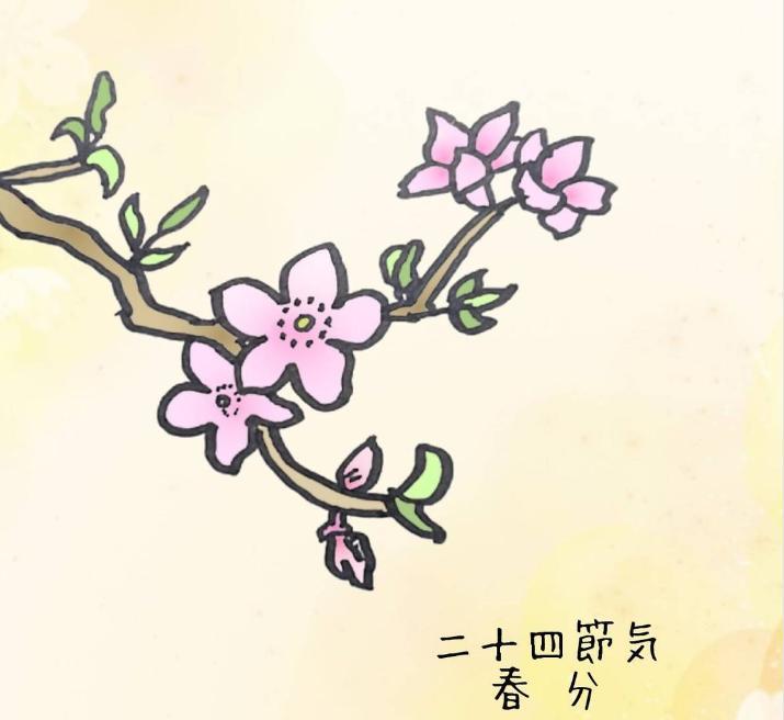 �y�t���ɂ���Ă͂����Ȃ�3�I�I�z