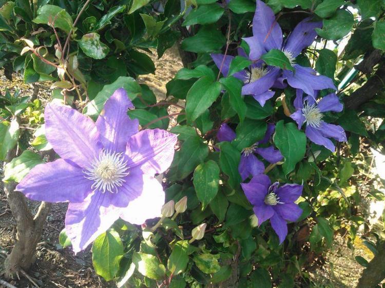 �����U��