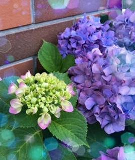 ���d���̂����k