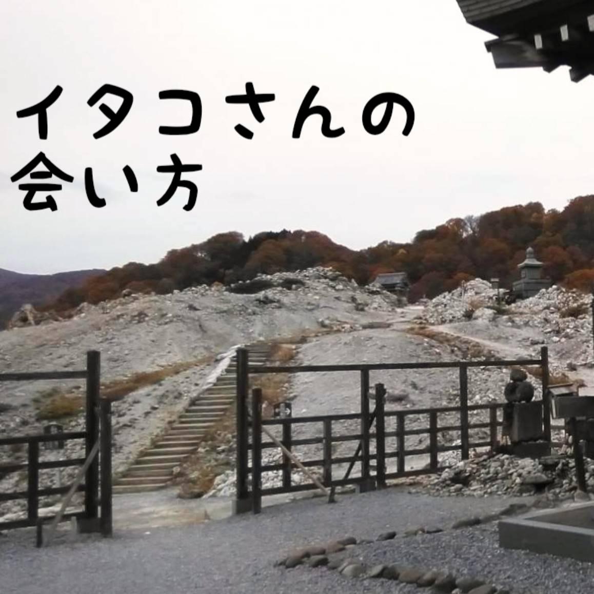 �C�^�R����̉��