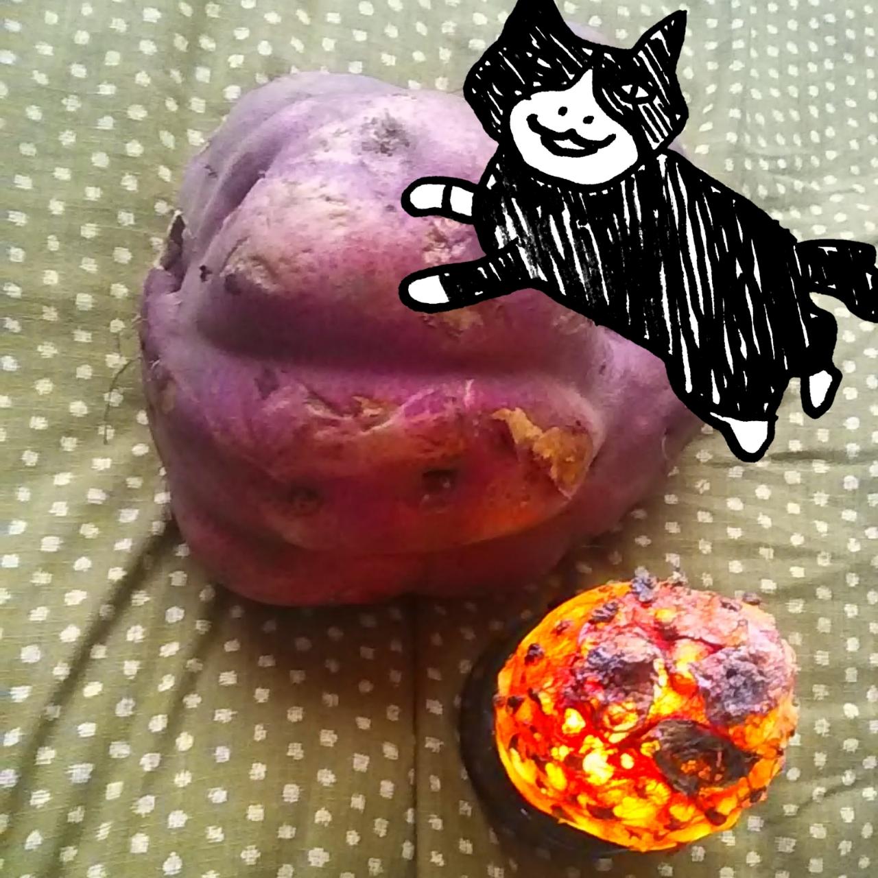 �H�̊J�^�H�O�O���F��؂ŉ^�ƃr�^�~����