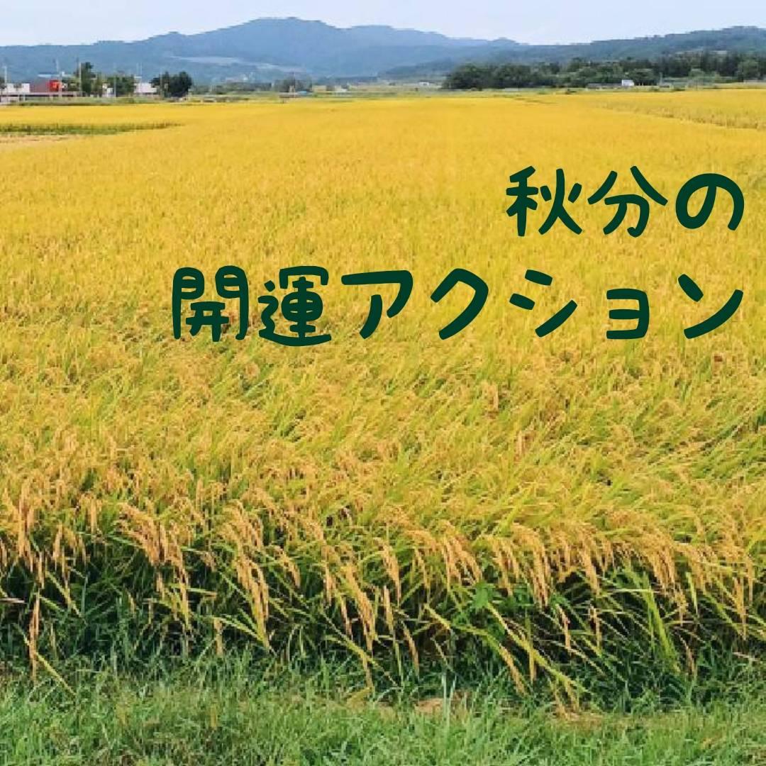 �H���̊J�^�A�N�V������