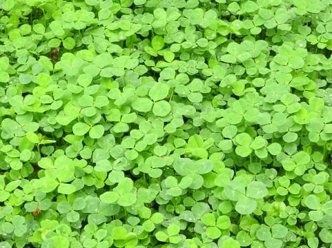 �P�O�N�O�̍����́E�E�E