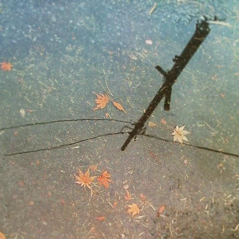 �^���s�������ɔY�ނ킽���B