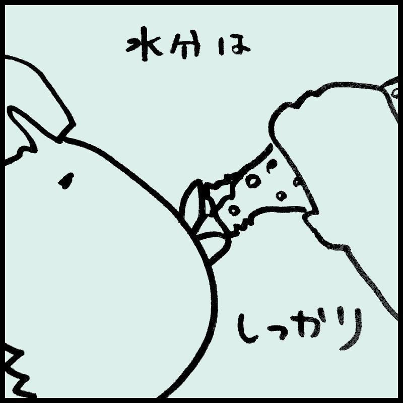 �����͗͂Ȃ�