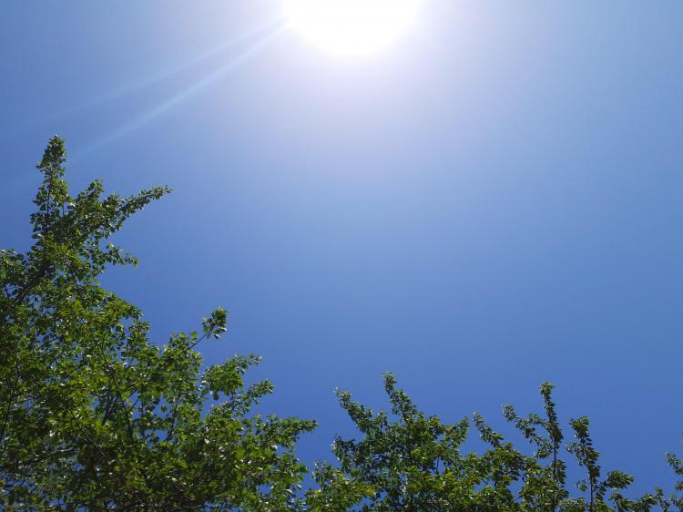 ��������̃��b�Z�[�W