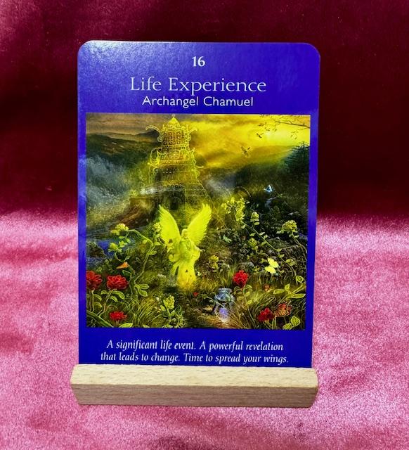 �����̃��b�Z�[�W�i2024�N9��26���j