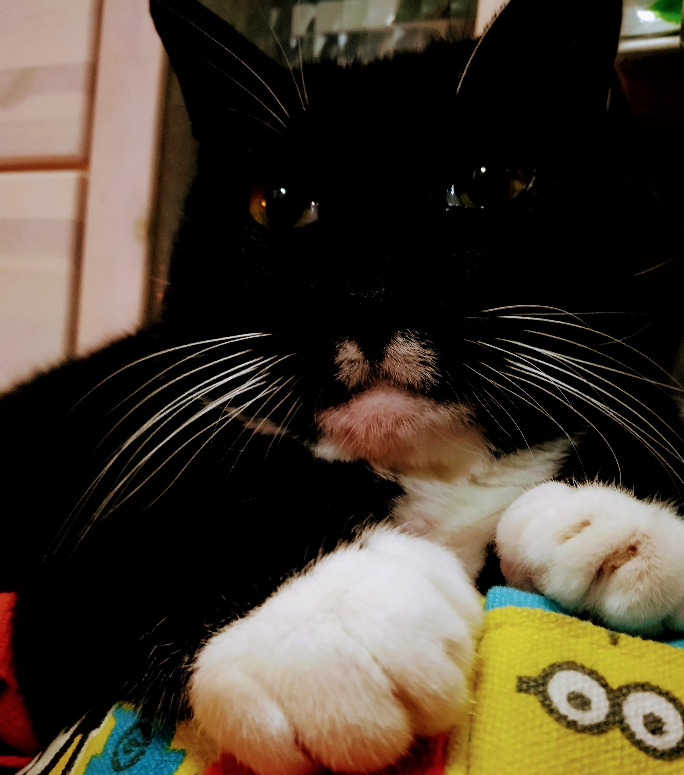 4�������