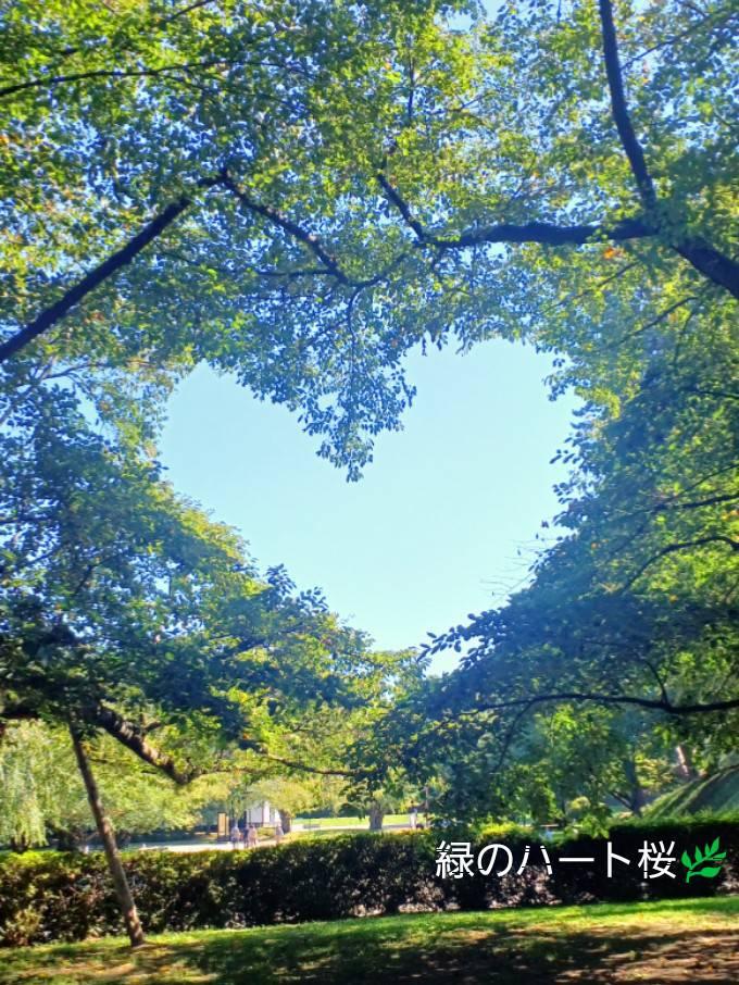 �n�[�g�� �ΐF�o�[�W�����̉摜�ł��I^^