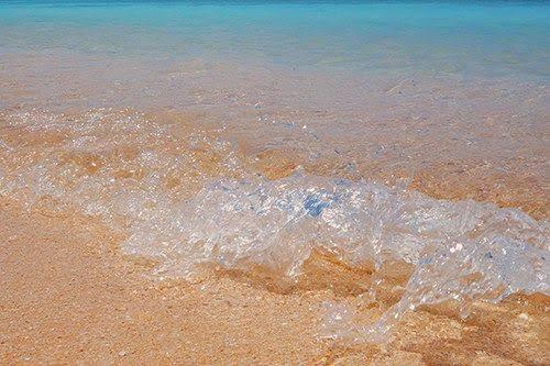 �w�����̓��LNo.22