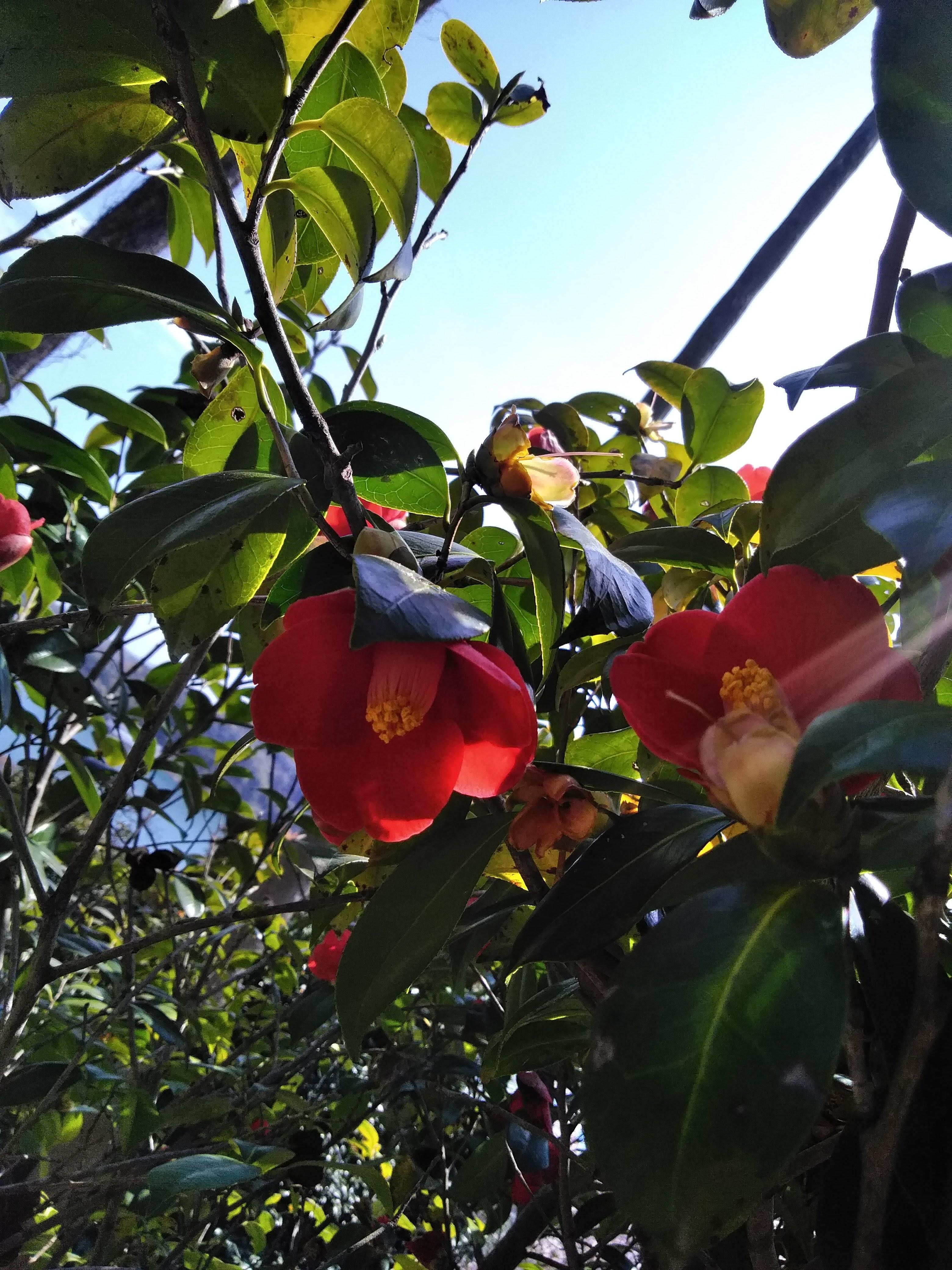 �͂��߂܂���