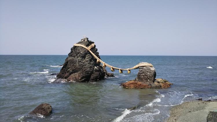 �v�w��