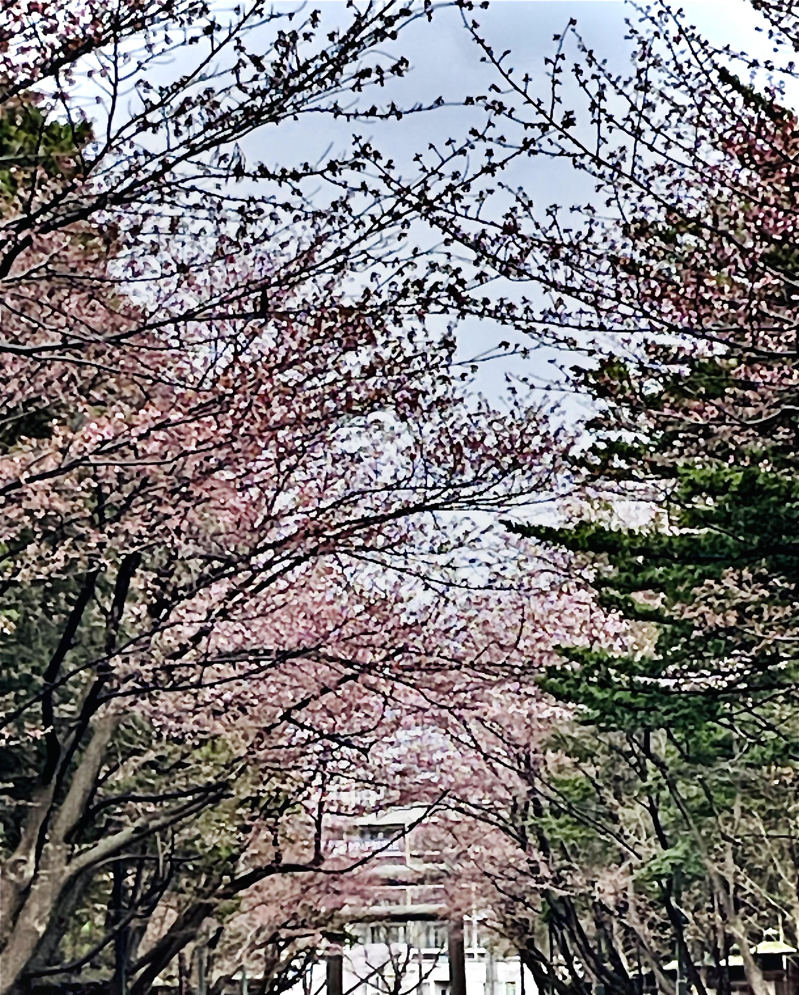 ��������Ȃ��̍K�������F�肵�ĎQ��܂���