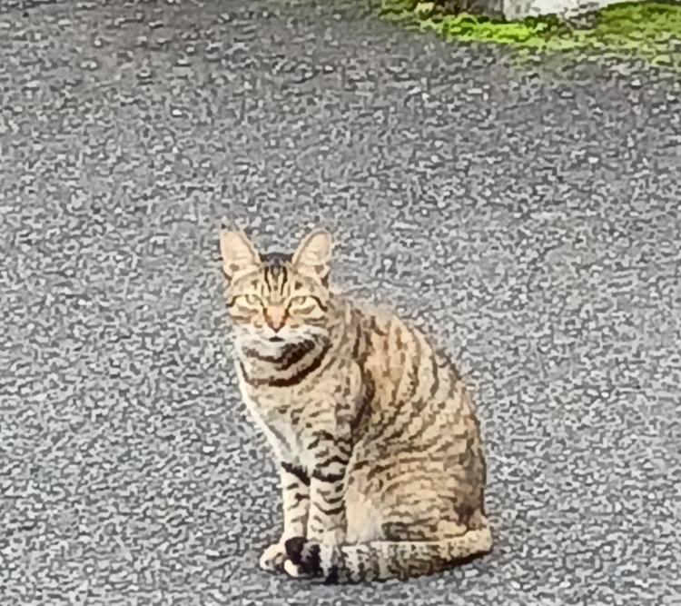 �P��10���@�����^