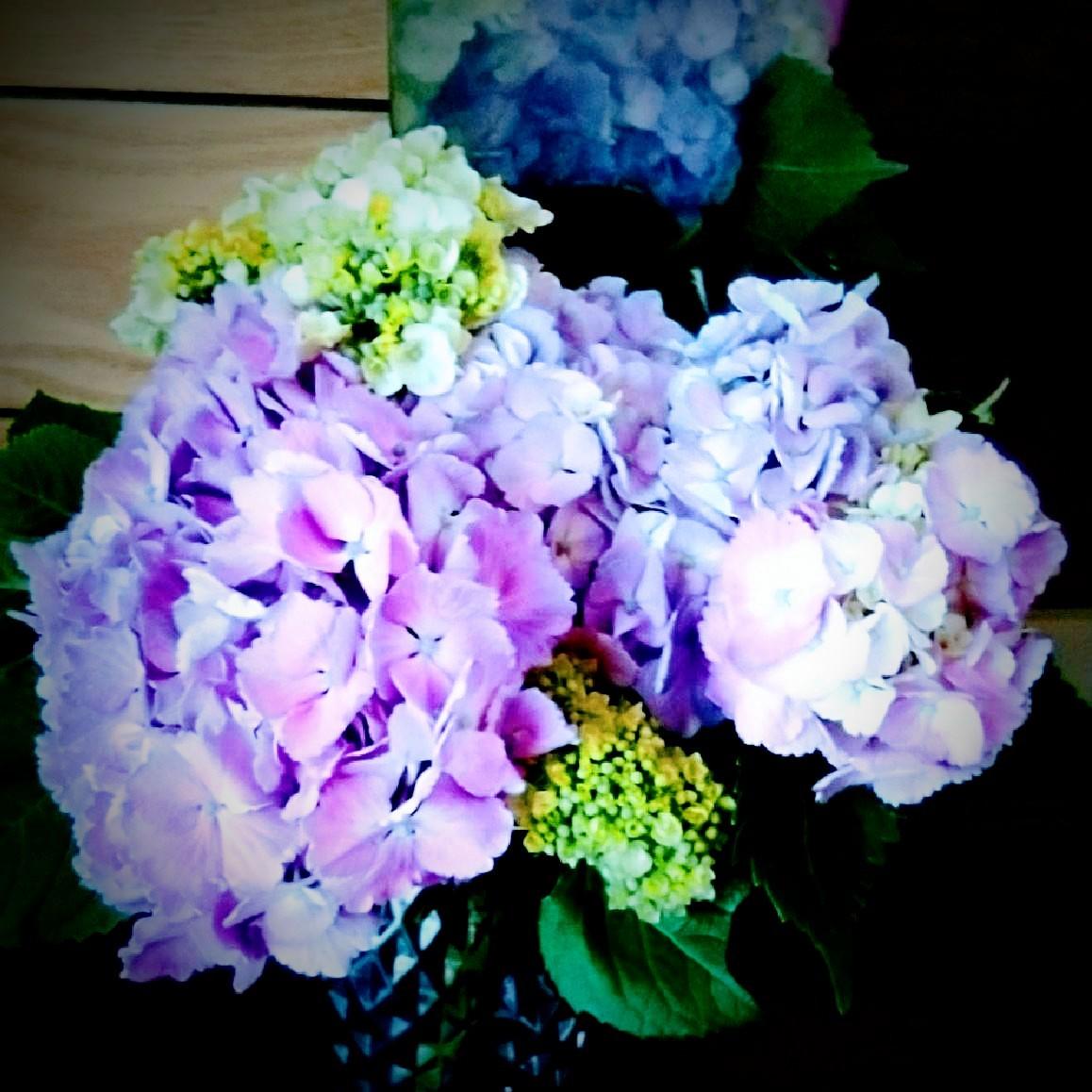 �U��ꂿ��������B