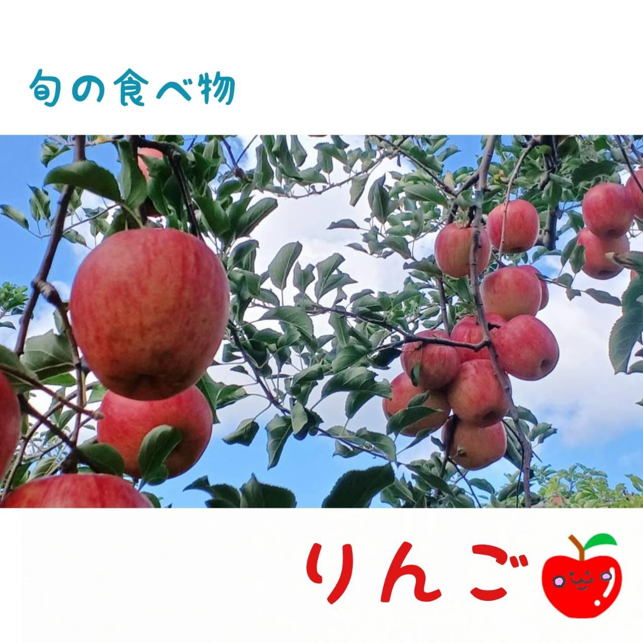 �������Ă̂�񂲂���C�����������B