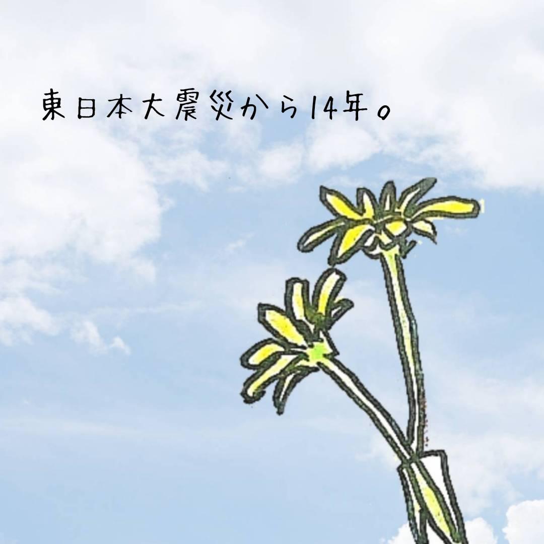 ������3��11��