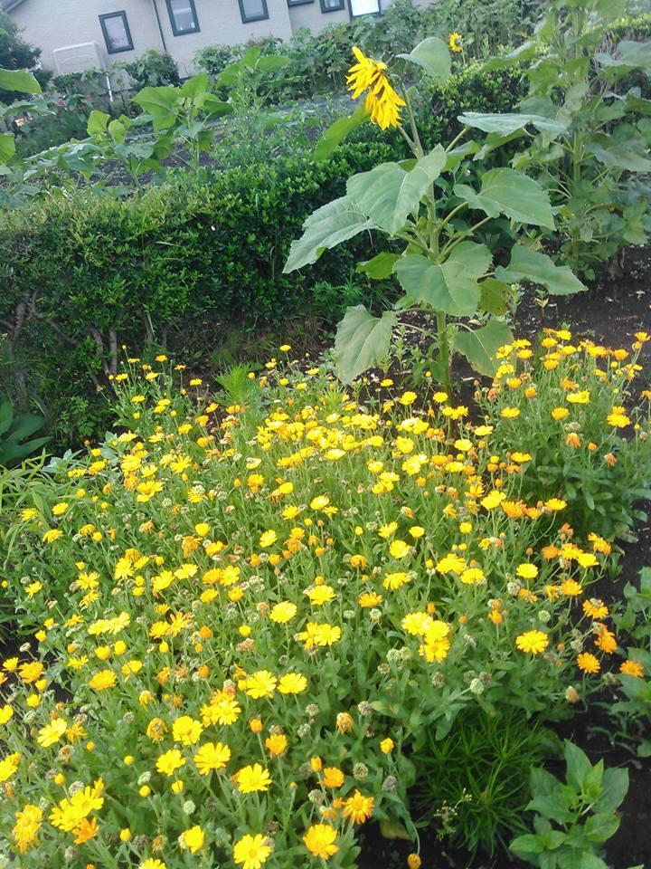 �˂�����